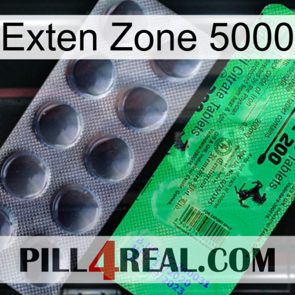 Exten Zone 5000 new04.jpg